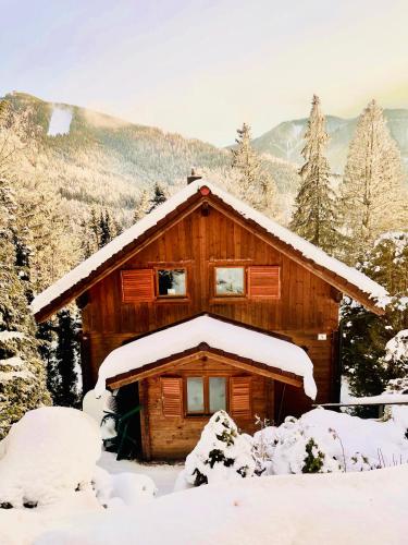 Blockhaus Semmering - Apartment - Steinhaus am Semmering