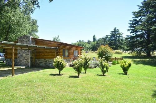 Bungalow with Garden View image 10