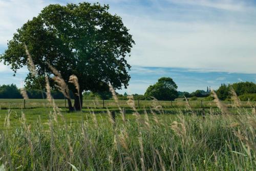 The Wobbin, Remote, Comfort, Sea Views and the beautiful Essex Marshes