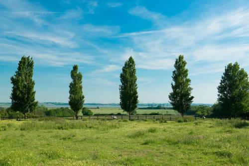 The Wobbin, Remote, Comfort, Sea Views and the beautiful Essex Marshes