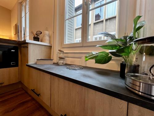 Dapur, Promenades / 1 Chambre / Neuf in Roanne