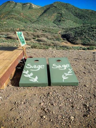 Sage Desert Dreams