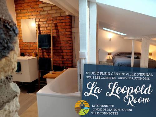 Leopold Room 30m2 Hyper centre, Netflix & Wi-fi - Location saisonnière - Épinal