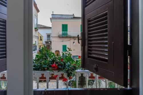 B&B CORSO VITTORIO