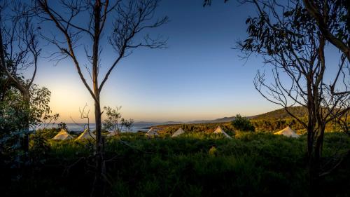 Little Beach Glamping with Sauna Four Mile Creek (Tasmania)