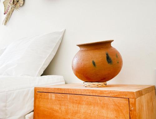 Bokatrip Xochimilco, Del Centro