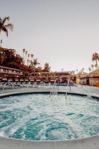King Room - Pet-Friendly