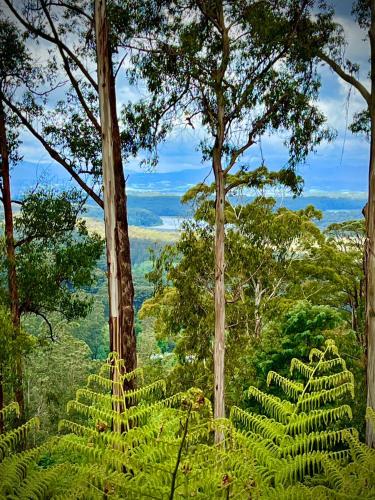 Melbourne Topview Villa in Dandenong ranges near Skyhigh