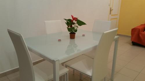 SAINTE-ANNE, LOCATION T2 SUN HOLLIDAYS in Sainte-Anne