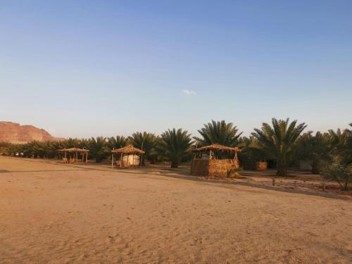 Almazham camp resort Al Ula