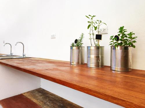 Kitchen, ICO Living Hostel in Santa Teresa