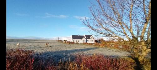 Self catering upstairs apartment at Tradcottage