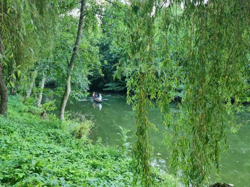 Le Moulin de L'O - L'Orle Nature