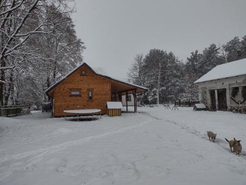 Kolorowe Wzgórze agroturystyka i konie (Kolorowe Wzgorze agroturystyka i konie) in Крупа