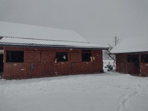 Kolorowe Wzgórze agroturystyka i konie (Kolorowe Wzgorze agroturystyka i konie) in Крупа