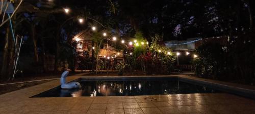 BAMBU HOSTEL, David (Foto 3)