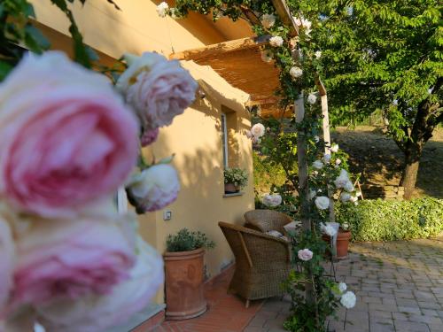  Il Crinale in Subbiano