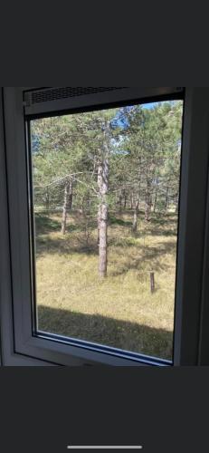  Ibiza huisje in Den Hoorn