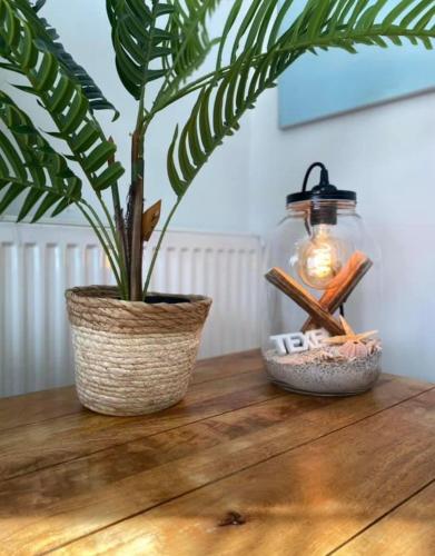  Ibiza huisje in Den Hoorn