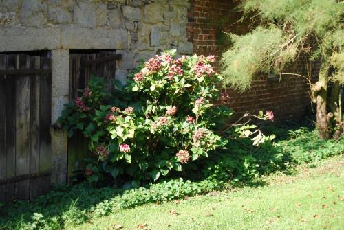 Gîte La Grange d'Herbuchenne