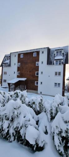 Apartman Iznad Oblaka