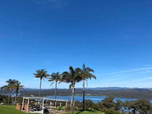 Norfolk Pine Motel in Merimbula