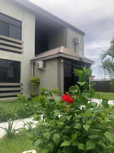 Tann Homestay
