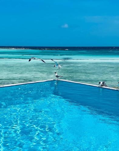 One Happy Stay Santa Cruz - Casita in Santa Cruz