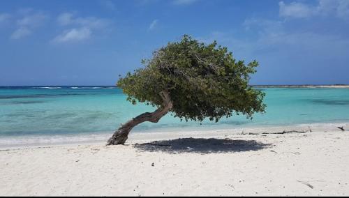 One Happy Stay Santa Cruz - Casita in Santa Cruz