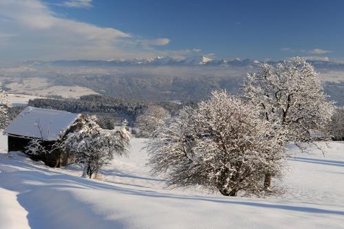 Hotel Bergblick