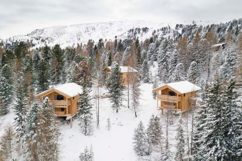 Superior Chalet with whirlpool bathtub