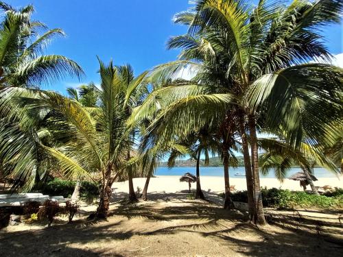 Beach, Moheli Laka Lodge Beach and Diving Resort in Nioumachoua