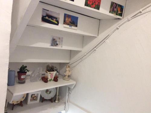 Rose in วีลจีฟ