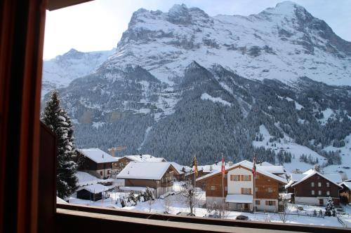 ทัศนียภาพ, อัลเพนโฮฟ (Alpenhof) in กรินเดลวาลด์