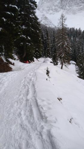 Appartamento a 2,5 km da Alleghe