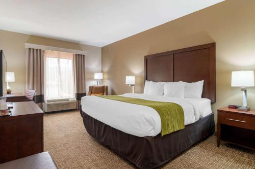 King Room with Roll-In Shower - Disability Access/Non Smoking