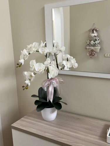 Casa vacanze l’orchidea - Apartment - Soci
