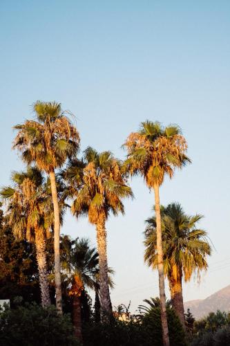 Phāea Cretan Malia, a Member of Design Hotels