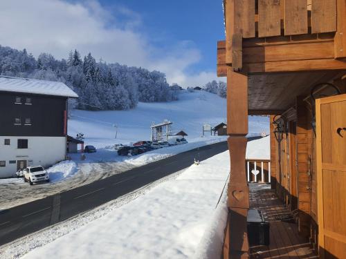 Au Coeur des Pistes, Les Myrtilles et Les Airelles - Apartment - Bellevaux-Hirmentaz