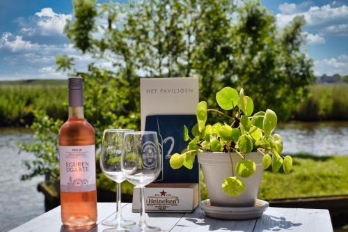 Tiny house - optioneel met hottub in Leeuwarden