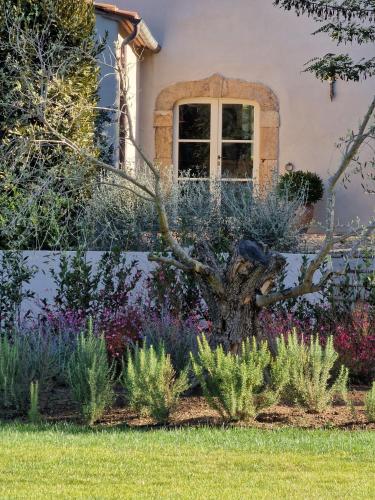 Casale Caterina Agriresort 4