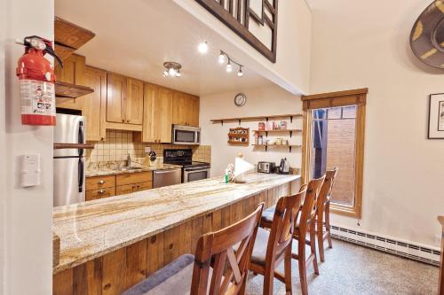 Motherlode Condo: Walk to Downtown, Slopes - Apartment - Breckenridge