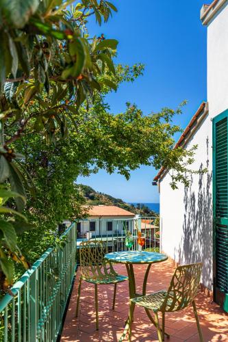 Hotel Cernia Isola Botanica - main image
