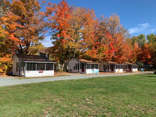 carrollmotel and cottages