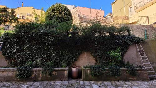  Alle Fontanelle in Pomarico