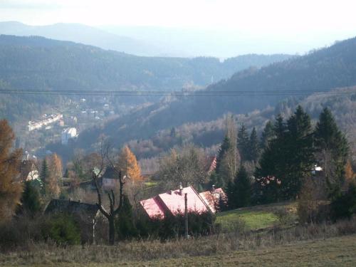 Restaurant Pension-Anton - image 12