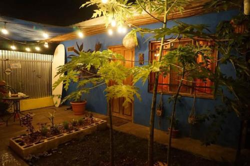 Casita Olivia