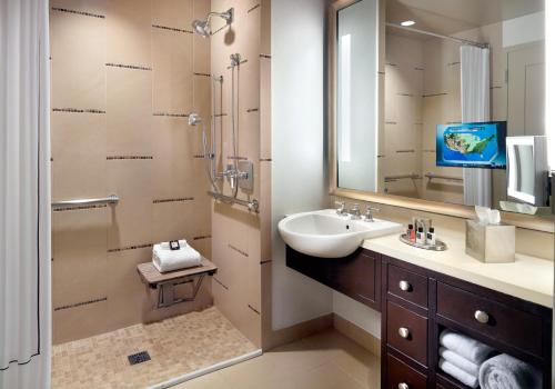 King Room with Roll-In Shower - Disability Access