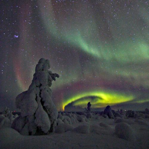 Ounasloma Luxury Cottages - image 6