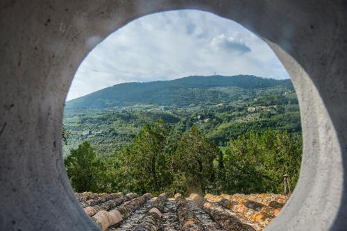 Villa Maria - in the hills above Florence